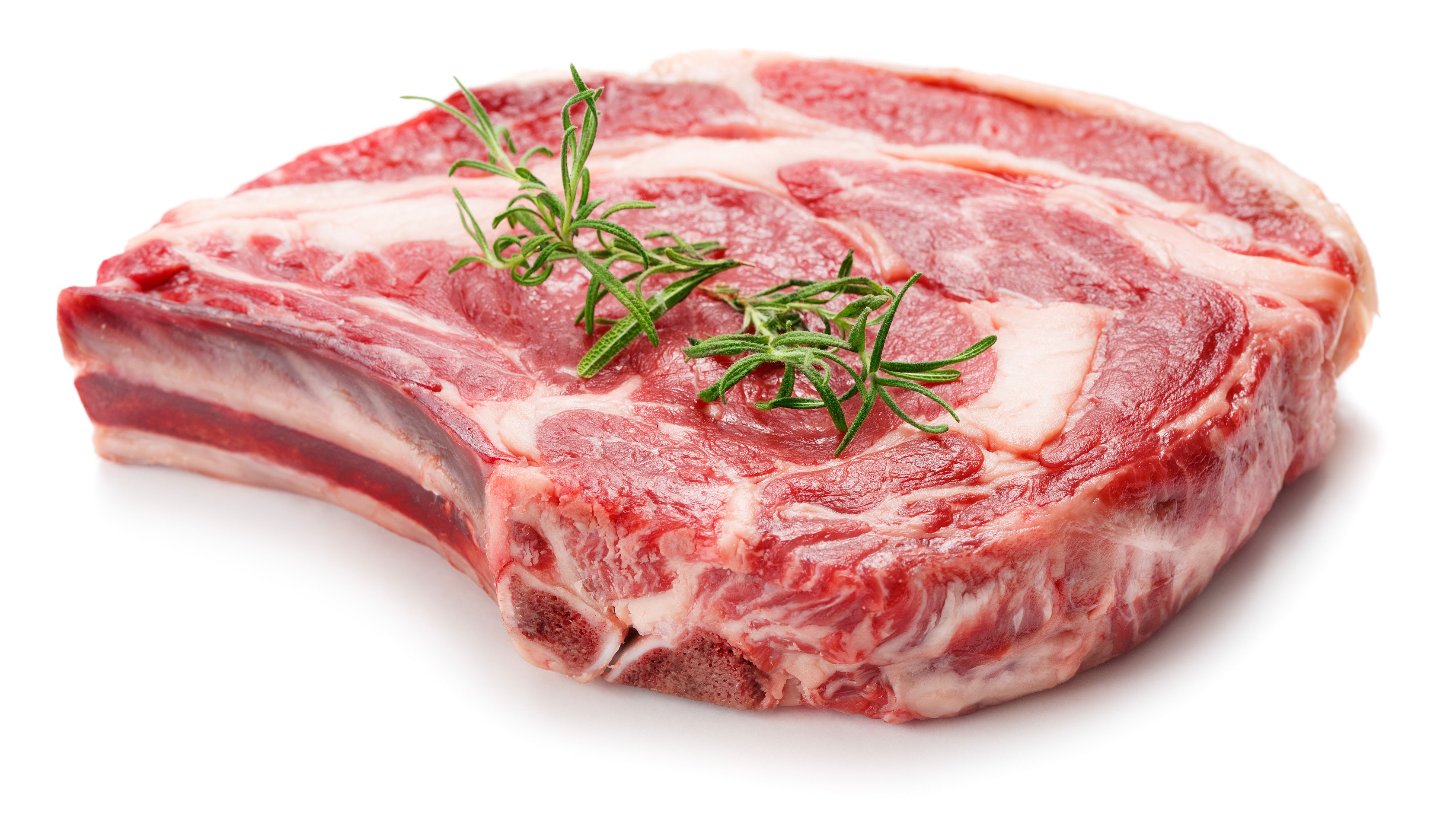 Premium Fleischqualität